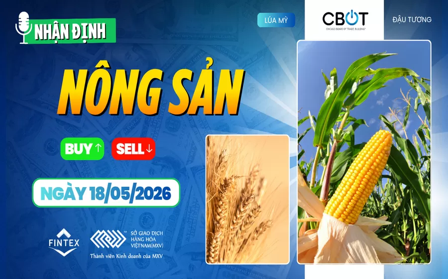NHẬN ĐỊNH THỊ TRƯỜNG NÔNG SẢN NGÀY 18/05/2026